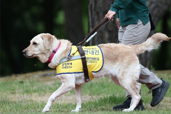 Guide Dog Support for the Visually Impaired images